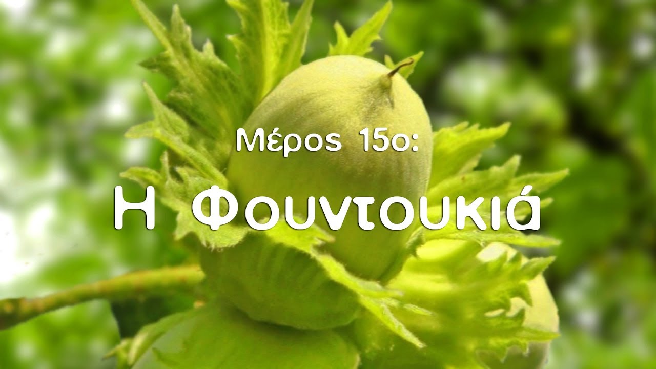 Η Φυσική Καλλιέργεια με τον Παναγιώτη Μανίκη (ΜΕΡΟΣ 15ο: Η Φουντουκιά)