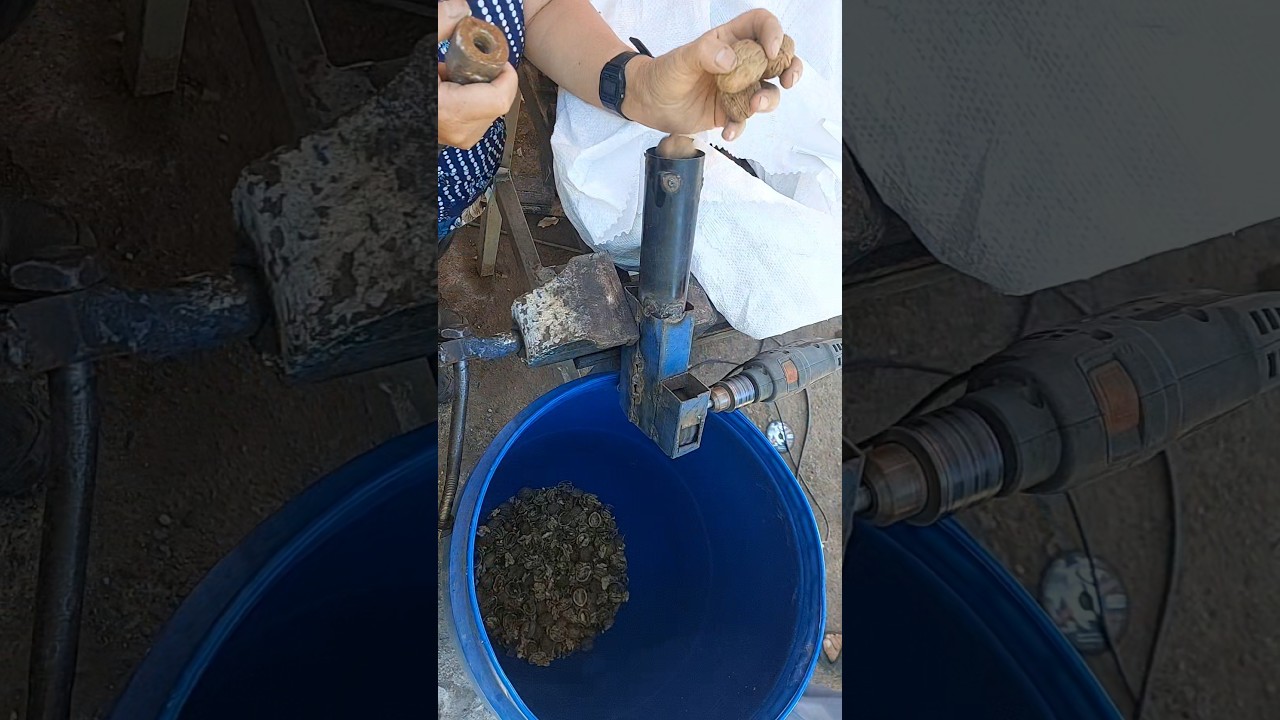 Quebradora de nueces robusta  Mucho más rápida ⚡Sin esfuerzo físico 🛠️Diseñada para durar 🔩 #nueces