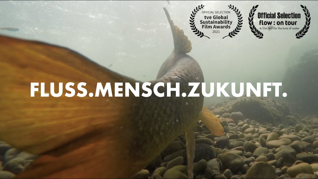 Fluss.Mensch.Zukunft. - Lösungsansätze zur nachhaltigen Fließgewässerbewirtschaftung