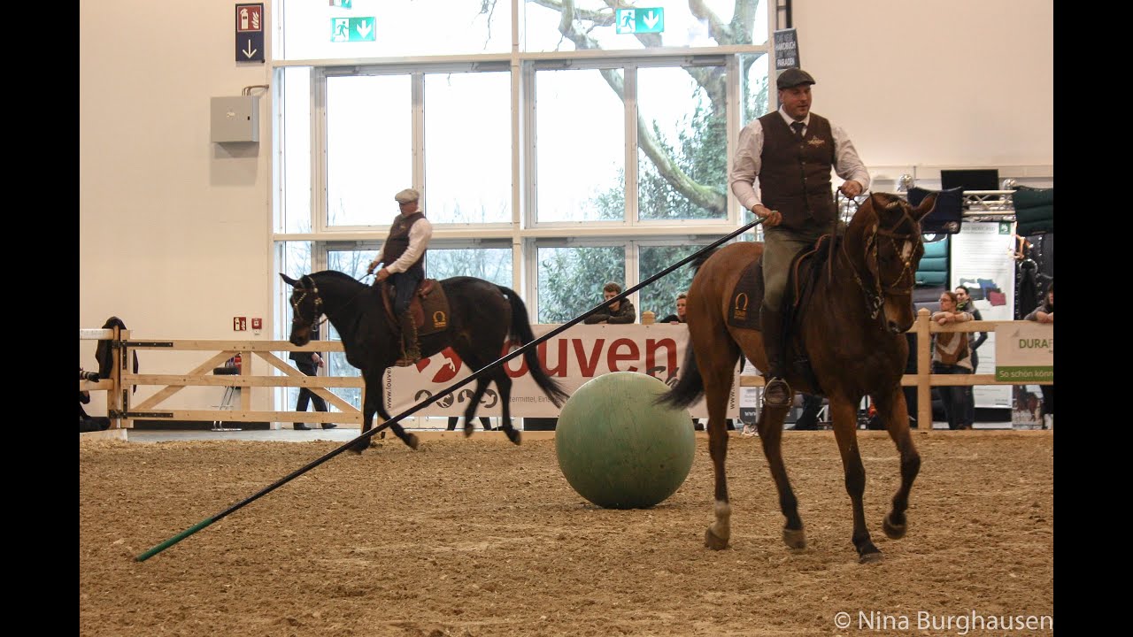 Working Equitation mit Stefan Baumgartner & Gernot Weber auf der Equitana 2019