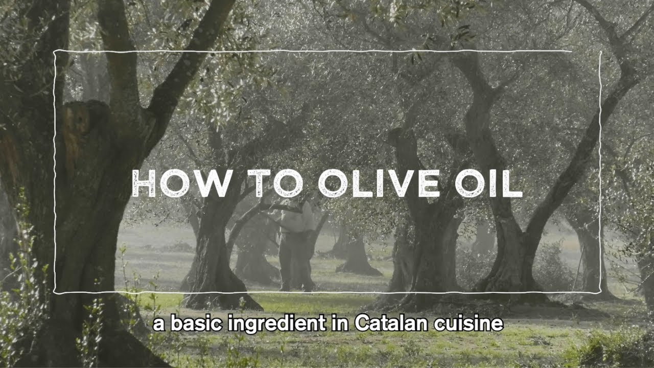 HOW TO OLIVE OIL with Ferran Adri&agrave;