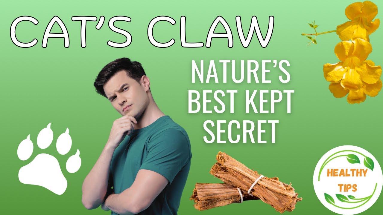 The Powerful Health Benefits of Cat&rsquo;s Claw: Nature&rsquo;s Best Kept Health Secret #healthytips