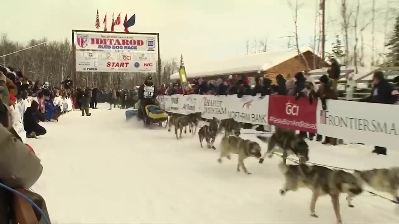 Teams hit the Iditarod trail as 2026 race officially starts from Willow