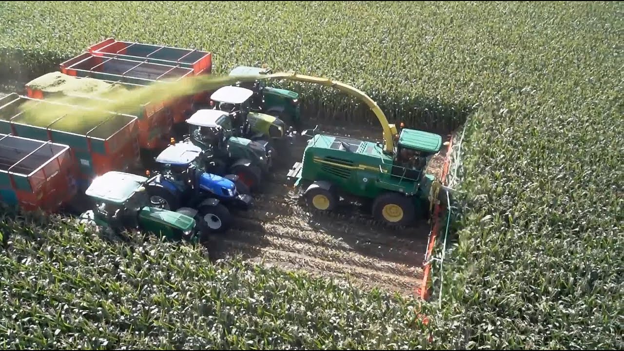 Chopping 20 rows of corn with Kemper