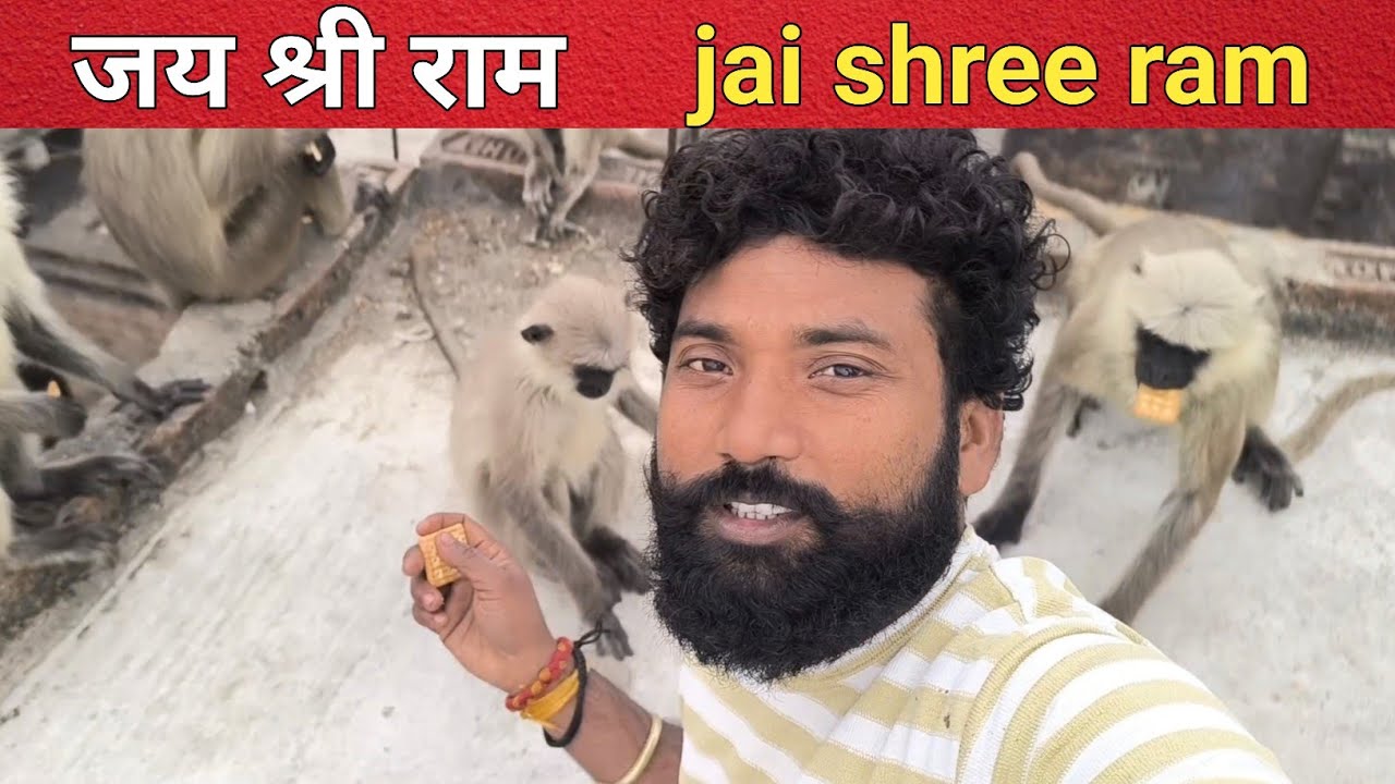Bandar ke jhund ke bich fash gya 😁😁 #monkey vlog #viral bandar ki funny #video #monkey #vlogs #short