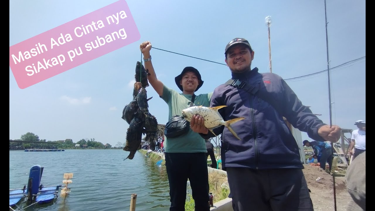 MASIH ADA CINTA NYA Mancing SI AKAP PU SUBANG , Event bulanan tiket .. !!!