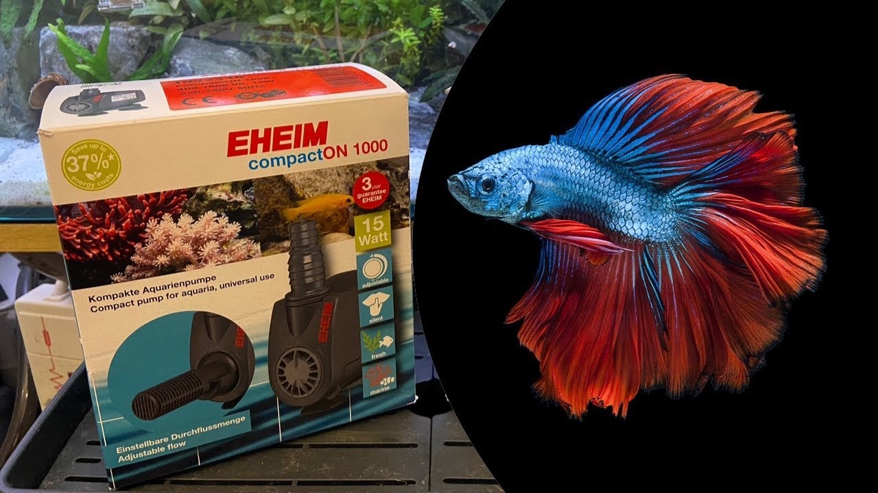 Unboxing Episode 7: Eheim CompactON 1000