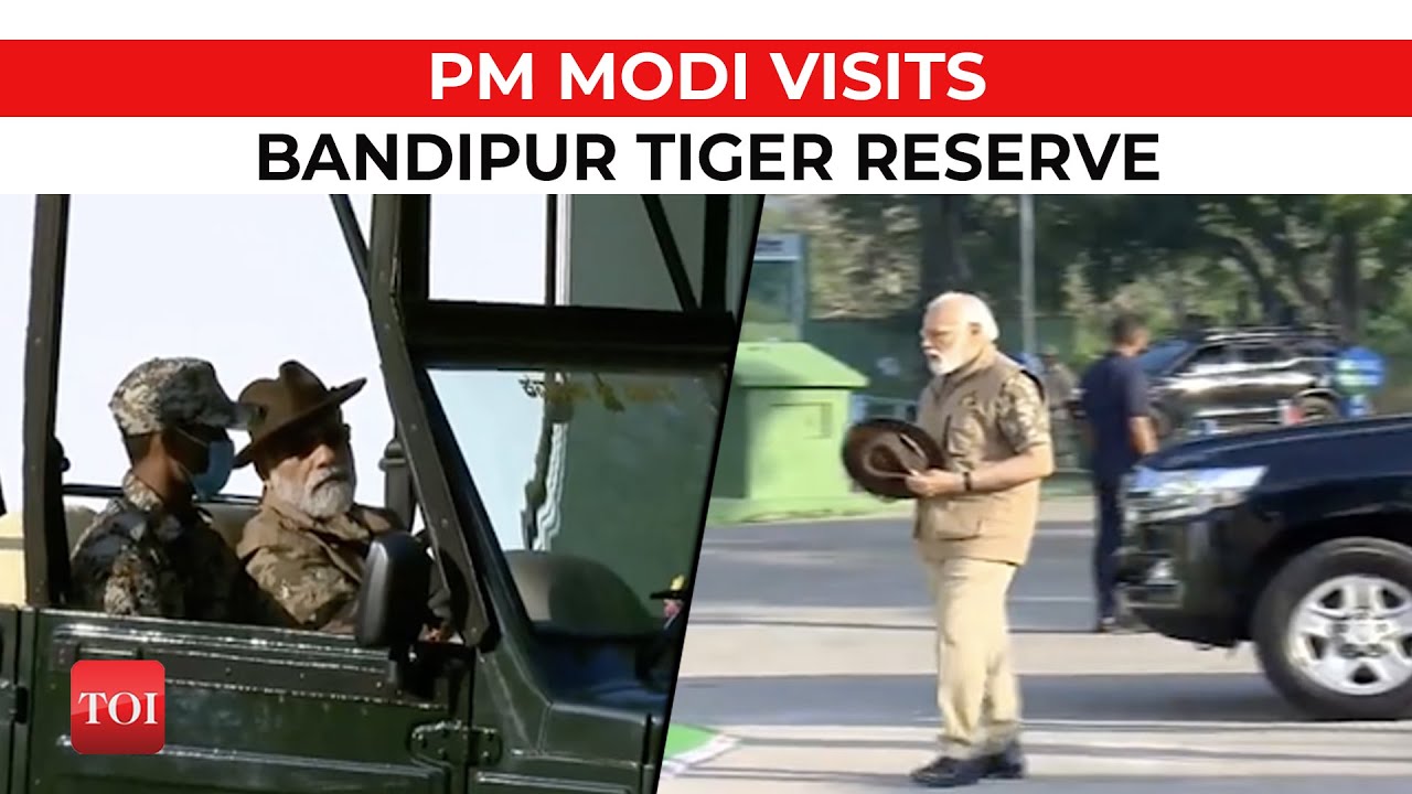 Watch: PM Narendra Modi visits Bandipur Tiger Reserve in Karnataka