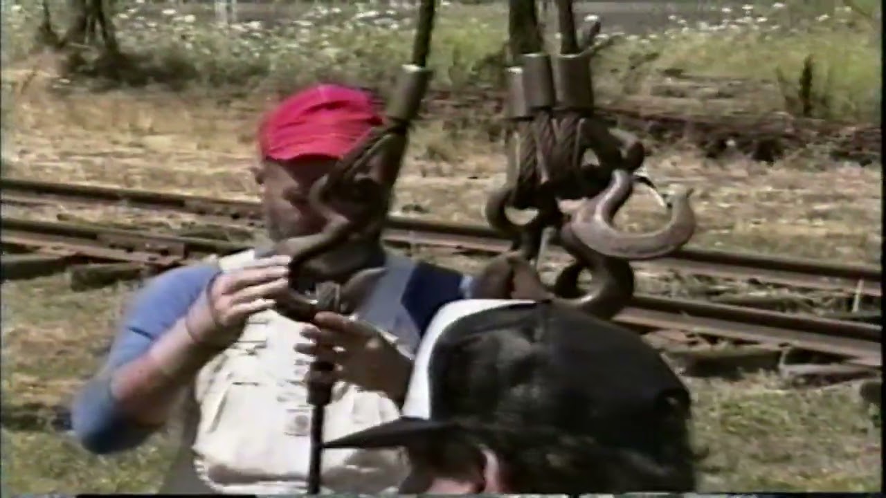 Solar Energy Expo & Rally (SEER) 1991 Sol Train-Long Version