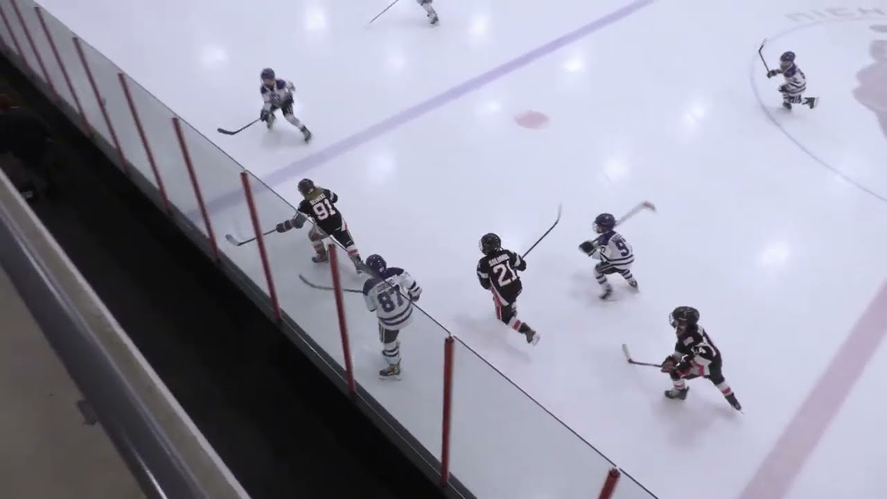 Chicago Reapers vs Windy City Storm - 10U AAA Hockey - 1/25/26
