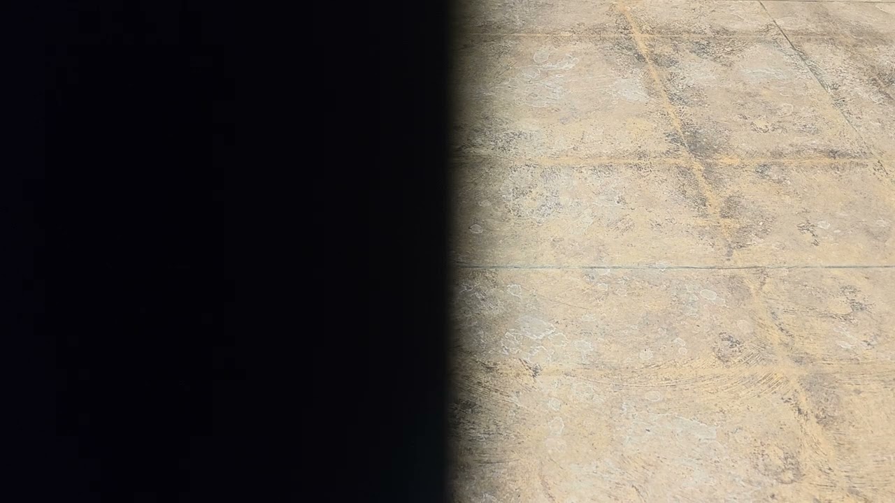 g선상의 아리아_260228