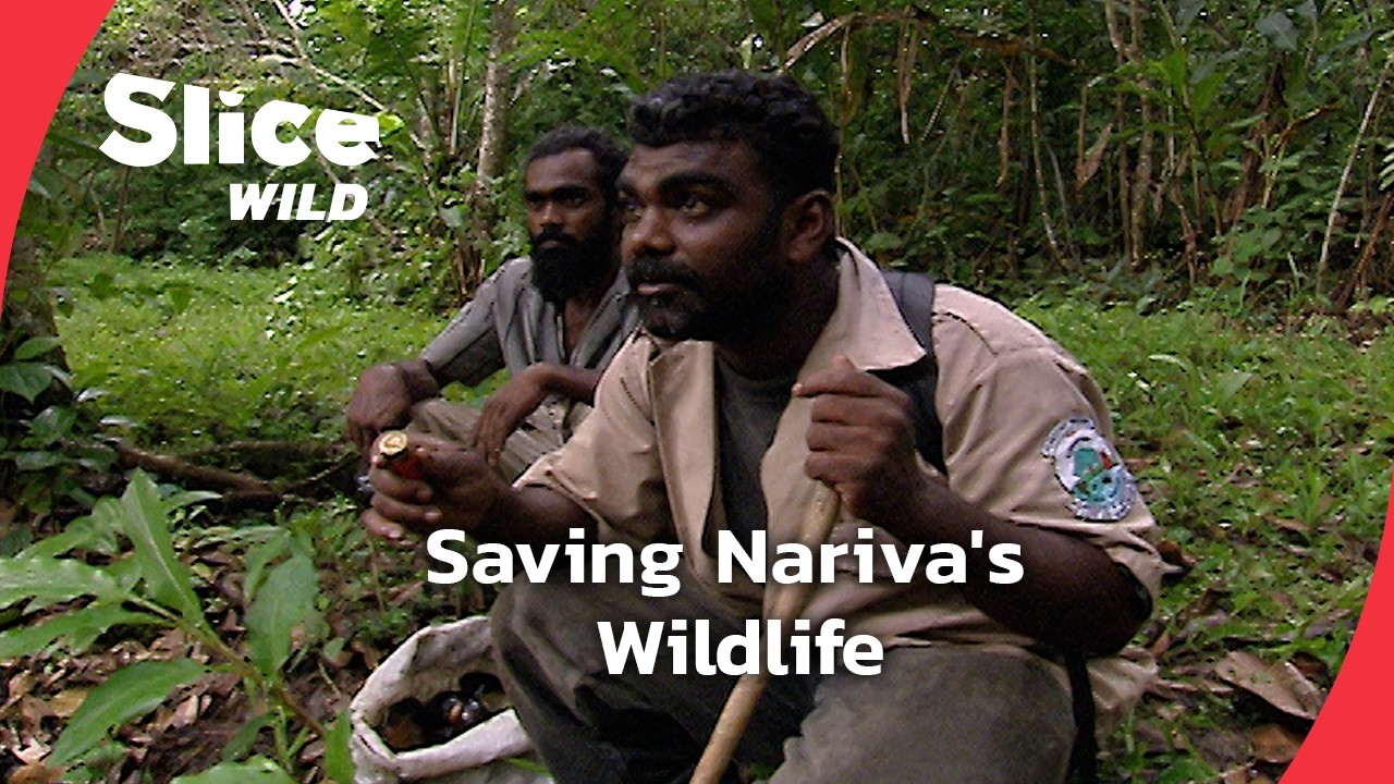 Nariva: Guardian of Trinidad's Wildlife | SLICE WILD | FULL DOC