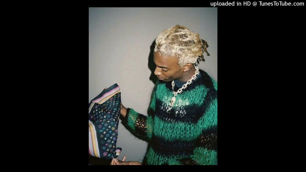 [FREE] playboi carti + pierre bourne + wlr v1 type beat - "Promise"