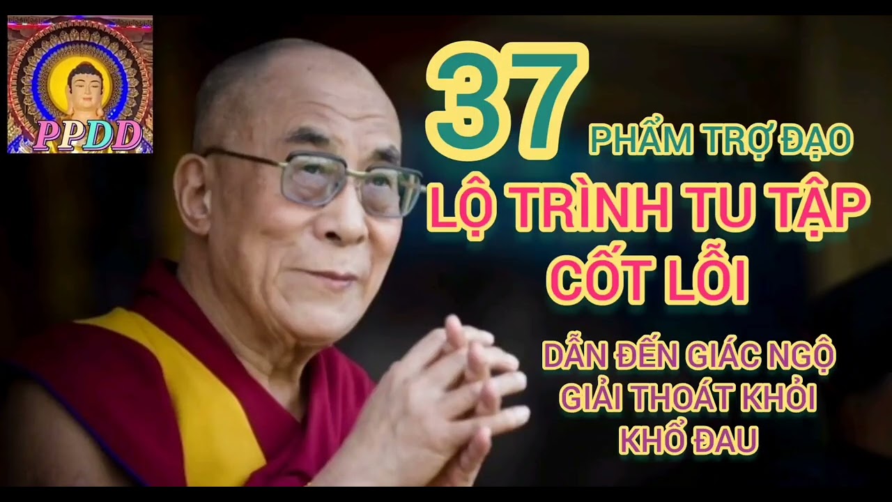 37 PHẨM TRỢ ĐẠO. LỘ TRÌNH TU TẬP CỐT LỖI - DẪN ĐẾN GIÁC NGỘ, GIẢI THOÁT KHỔ KHỔ ĐAU