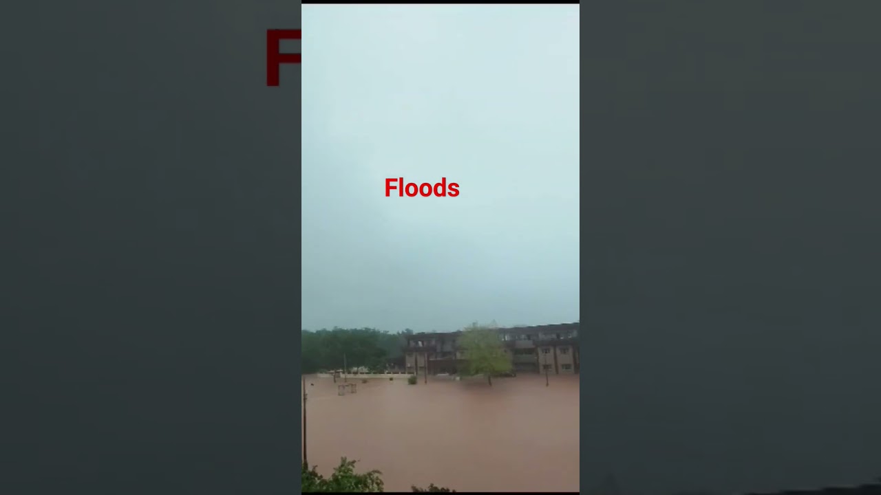 Chandigarh-Mohali Floods #floods#trending #trendingshorts #viralshorts #monsoon #viralindia #youtube