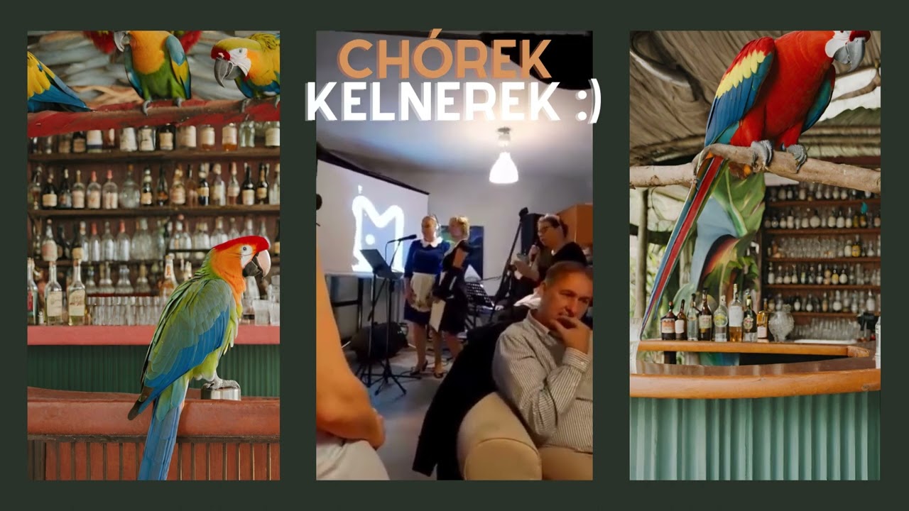 (wrzesień 2023) Pod Papugami - Ch&oacute;rek 