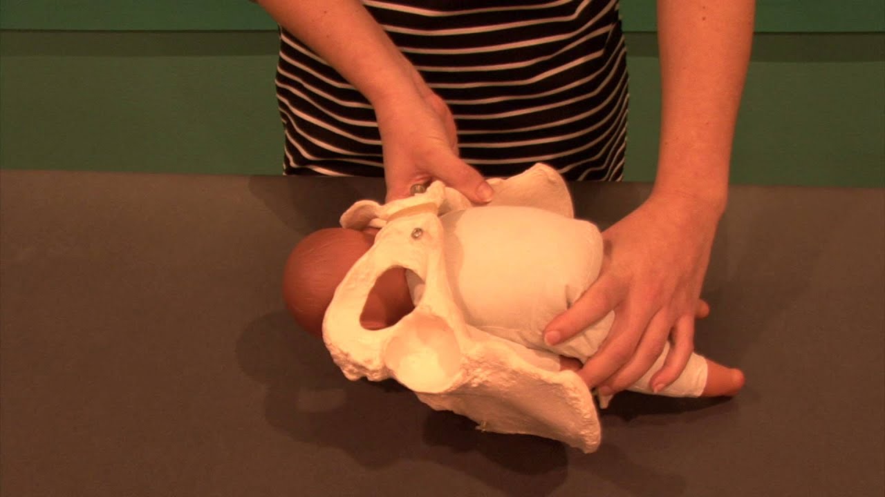 De uitdrijving van je baby tijdens de bevalling - 24BabyTV