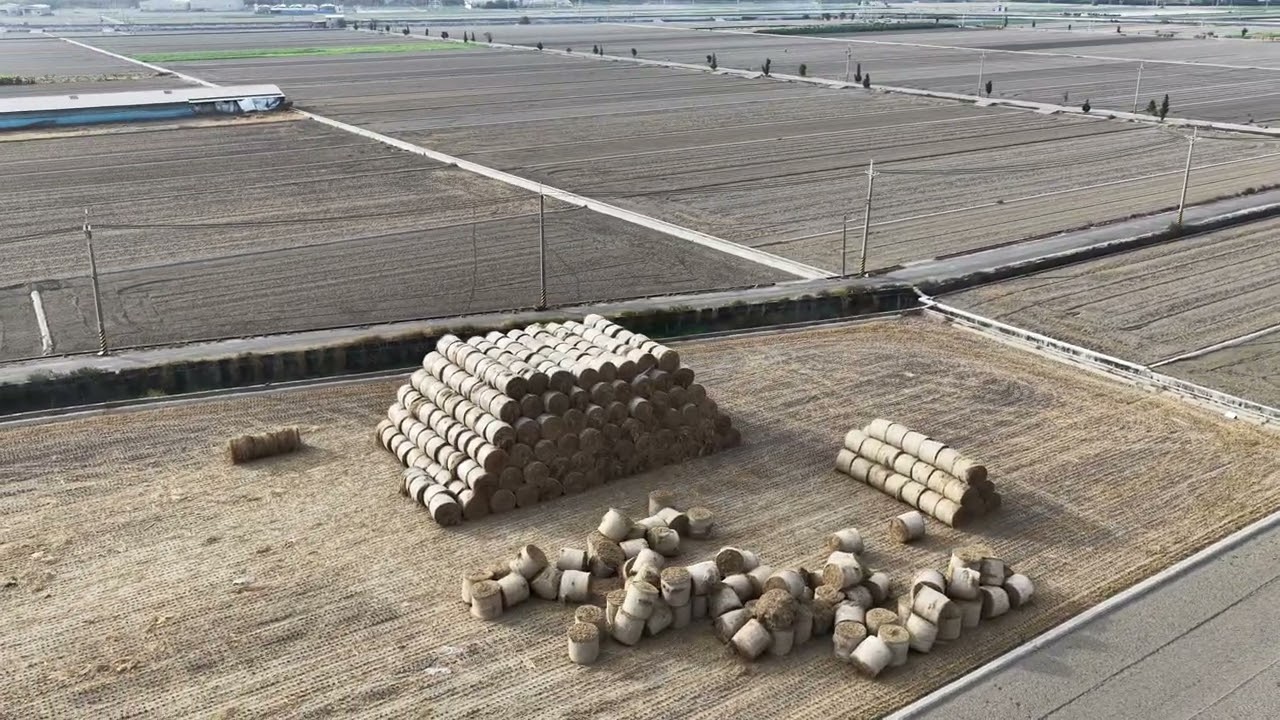 2026 稻田圈