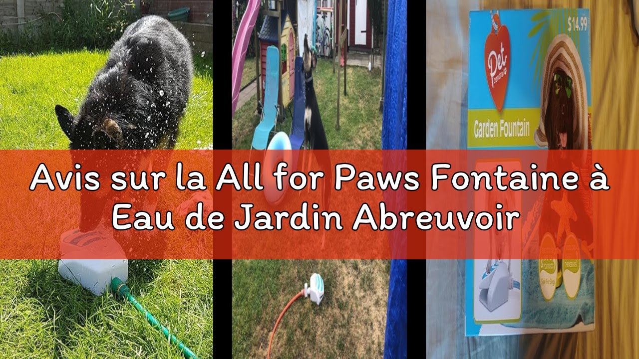 Avis sur la All for Paws Fontaine à Eau de Jardin Abreuvoir pour Chien