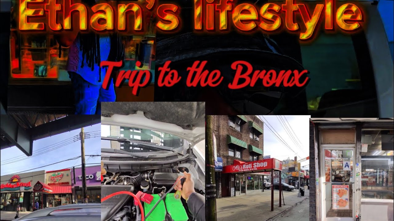 Trip To the Bronx￼