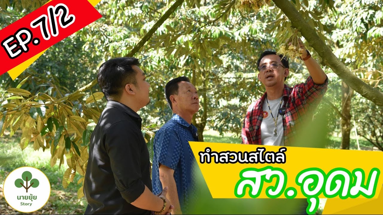 นายยุ้ย Story Ep.7/2 ทำสวนสไลต์ สว.อุดม https://www.facebook.com/nuttakij888/