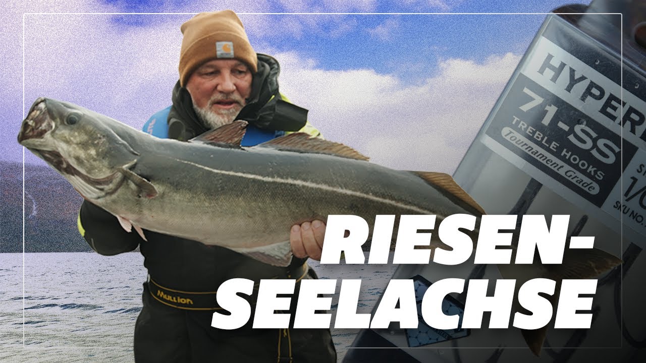 Seelachsangeln - IM TEST: BKK Hyperlatch Drilling