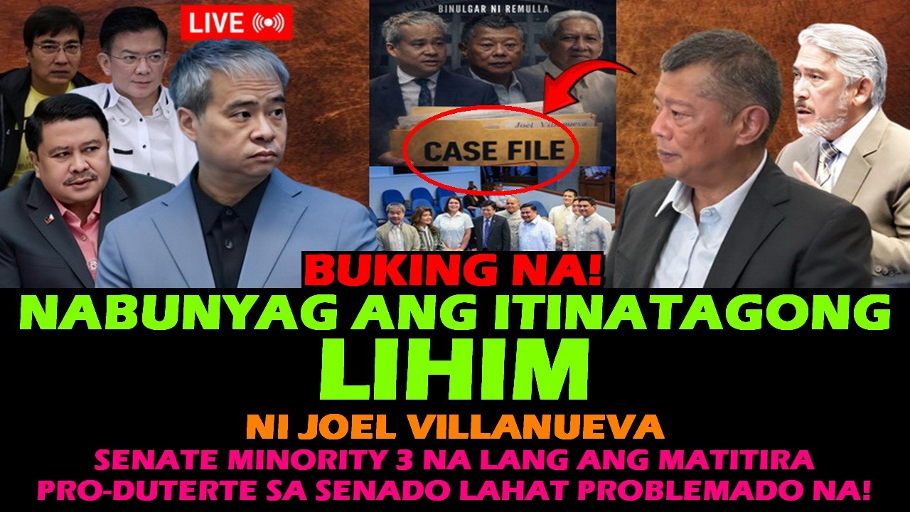 JOEL VILLANUEVA HIMAS REHAS! NABUNYAG ANG ITINATAGONG LIHIM! CHIZ ESCUDERO BONG REVILLA JINGGOY