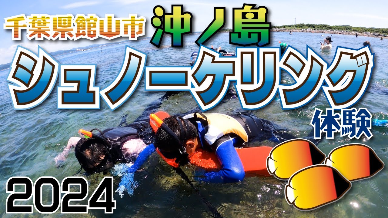 2024年今年の群れポイントがすごい！　千葉県館山の沖ノ島スノーケリング体験プログラム開催しました！