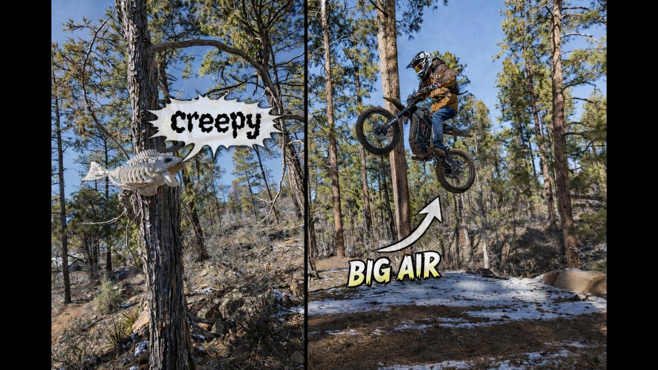 We Sent It Off Hidden Forest Jumps… Then Found Bones