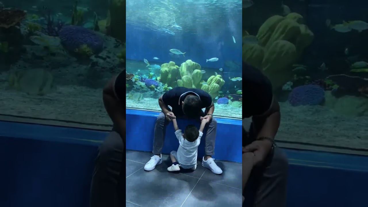 Kristoff's 2nd birthday @ Ocean Park (February 04,2025)