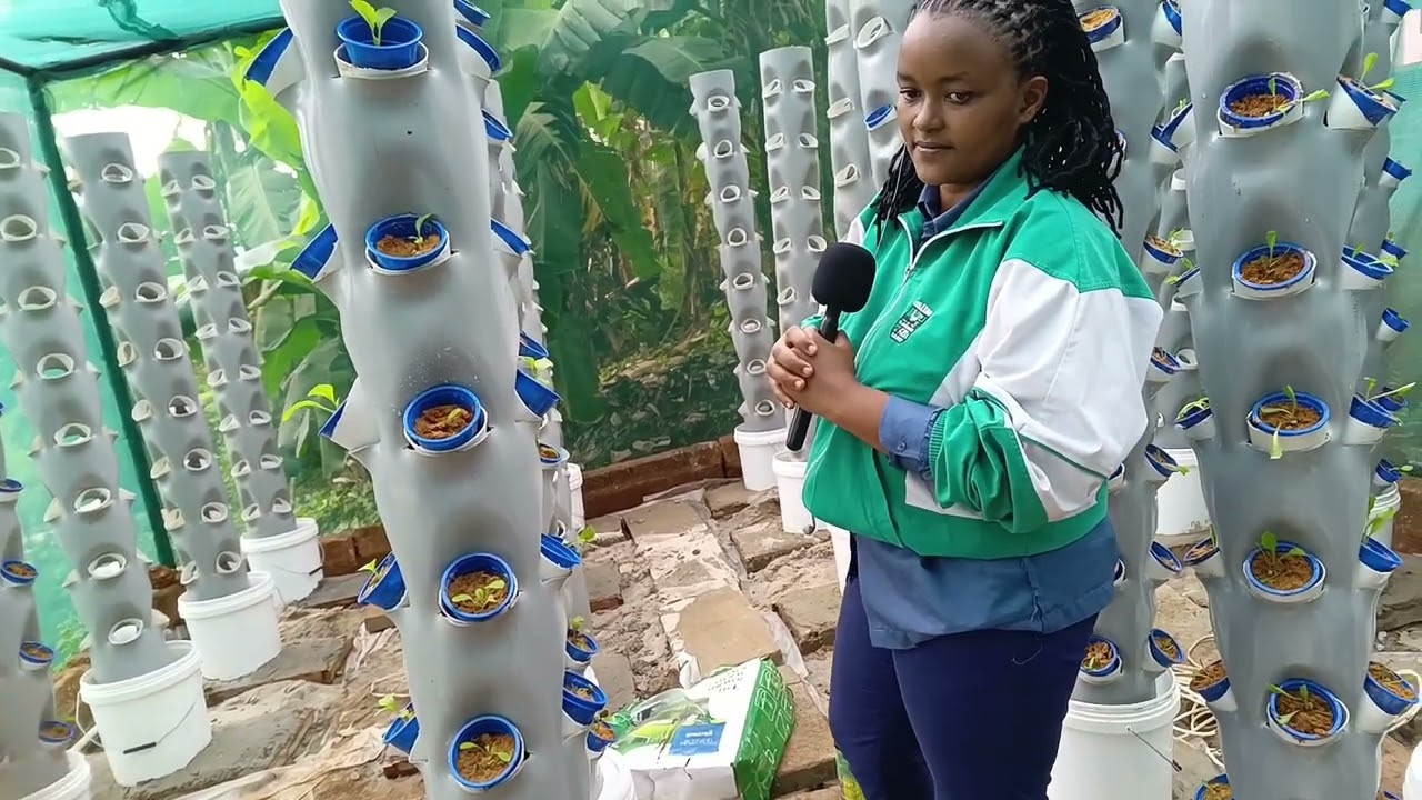 Testing all vertical farm equipments #hydroponics #aquaponics #aeroponics #ryekofarm