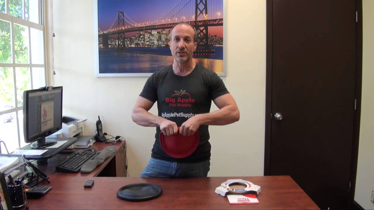 KONG Flyer Dog Toys Review - The Safest and Best Dog Frisbee