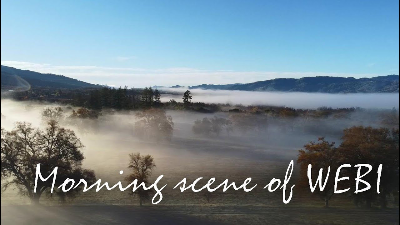 妙覺晨境 Morning scene of WEBI 12-8-2024