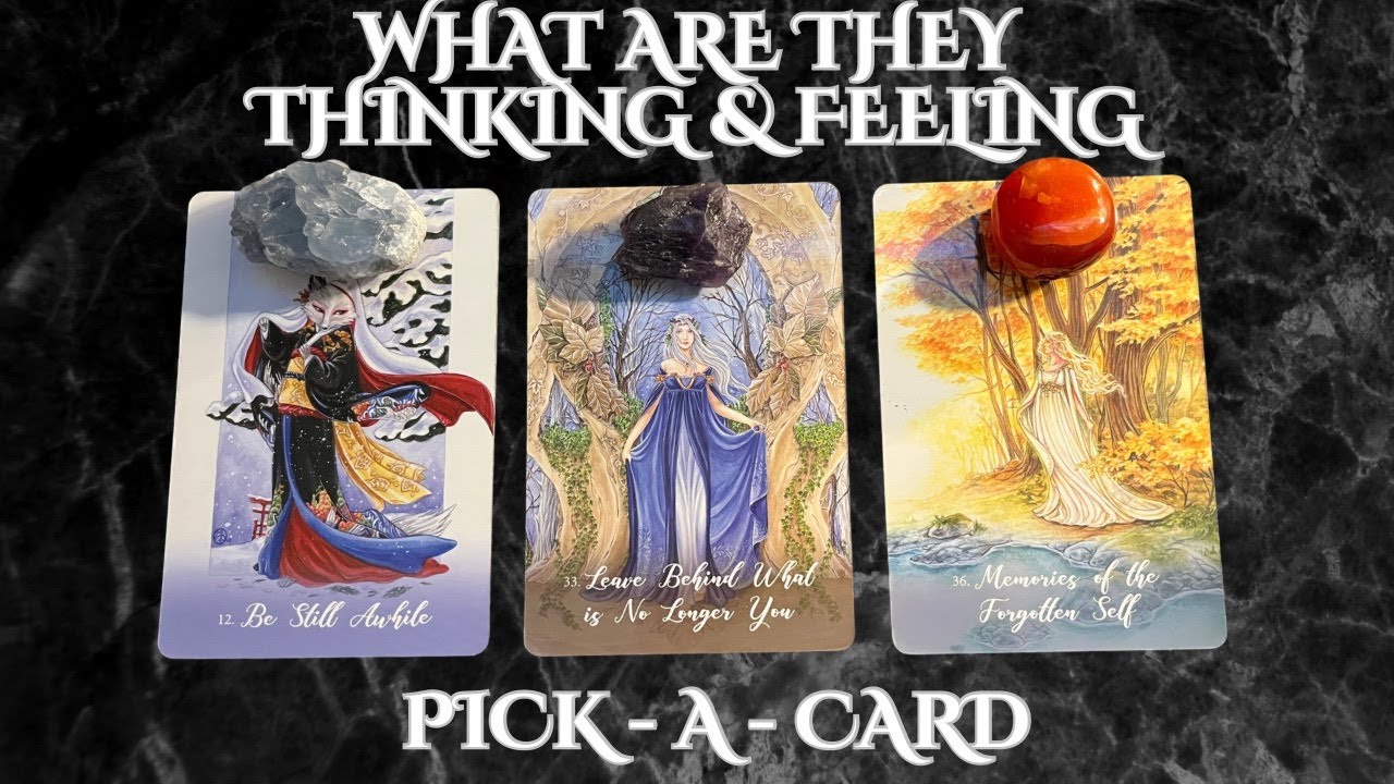 ❤️🔮What are they thinking & feeling?❤️PICK-A-CARD✨🌙TIMELESS❤️LOVE READING#tarot #pickacard