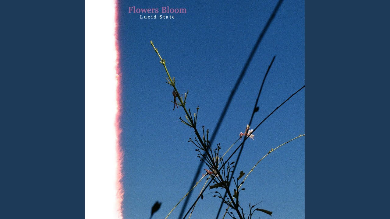 Flowers Bloom