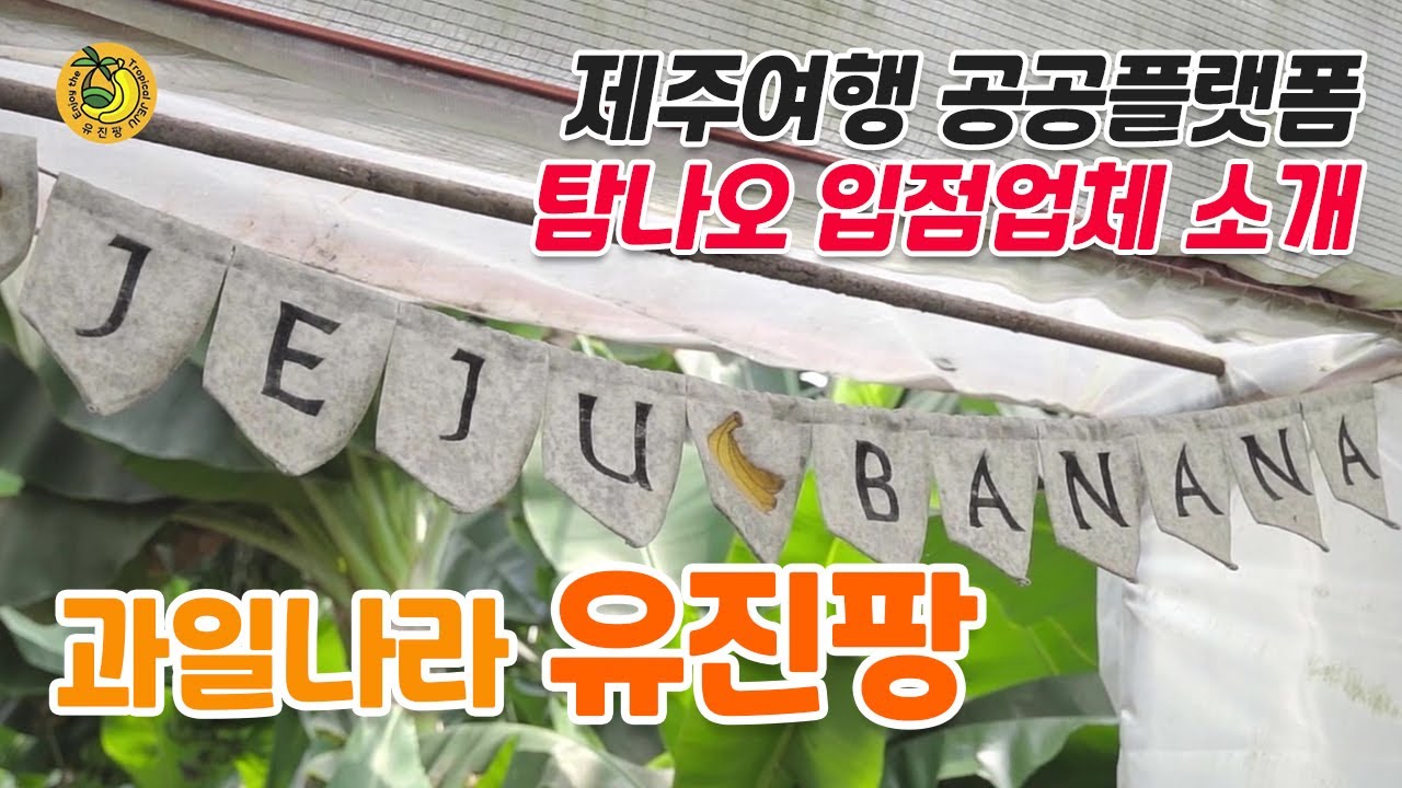 [입점업체 소개] 달콤한 열대과일이 가득가득...♥ ㅣ과일나라 유진팡
