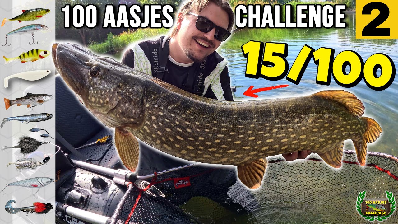 ZO VEEL DIKKE SNOEKEN MET DEZE AASJES! 100 aasjes challenge - Deel 2