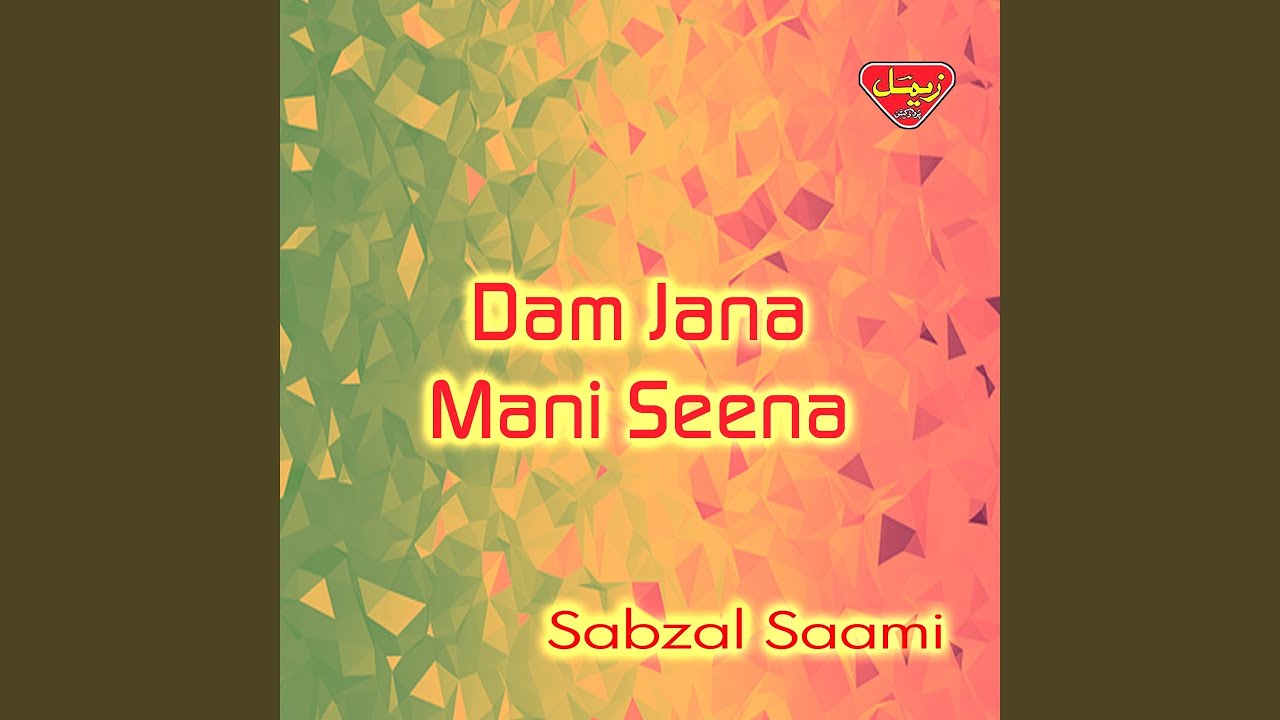 Dam Jana Mani Seena