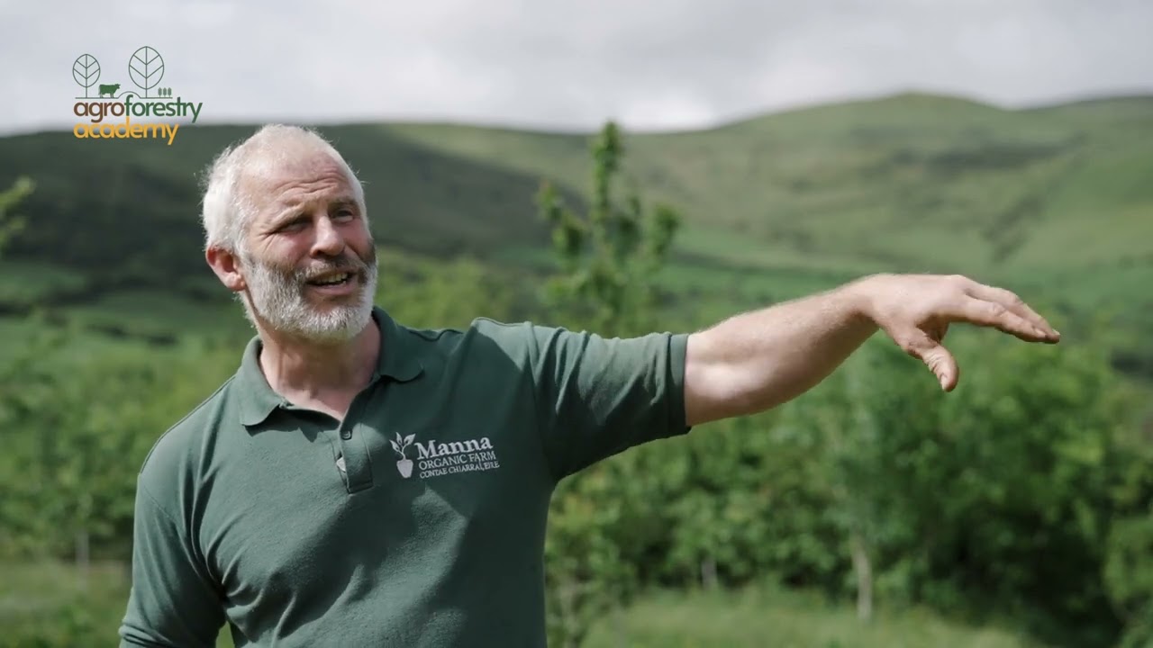 Thomas O'Connor Agroforestry and Horticulture, Dingle, Co Kerry