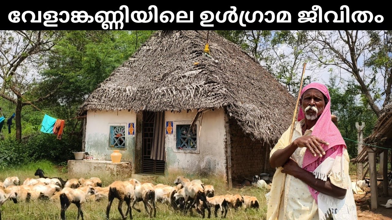 അധികമാരും കാണാത്ത വേളാങ്കണ്ണിയിലെ ഉൾഗ്രാമ കാഴ്ച്ചകൾ | Velankanni Villages | Papakovil Dargrah