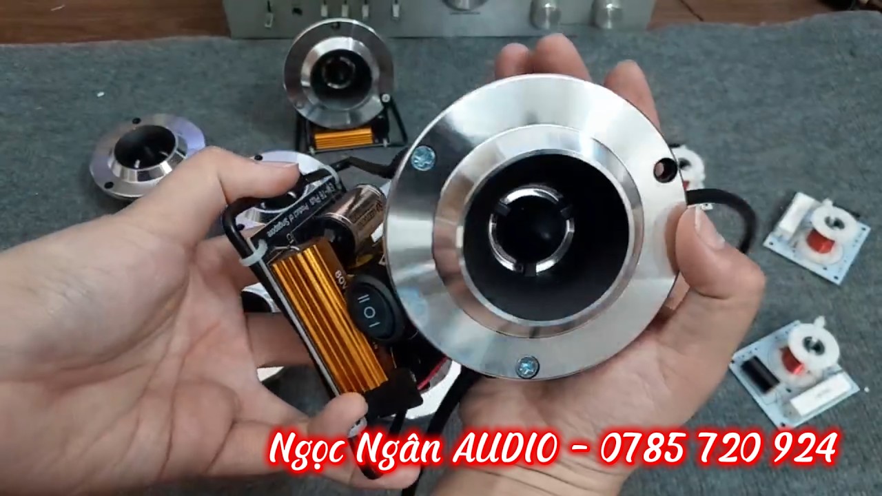 Review Loa Trép Pioneer P103 – Âm Cao Sáng, Nghe Có Hay Không?