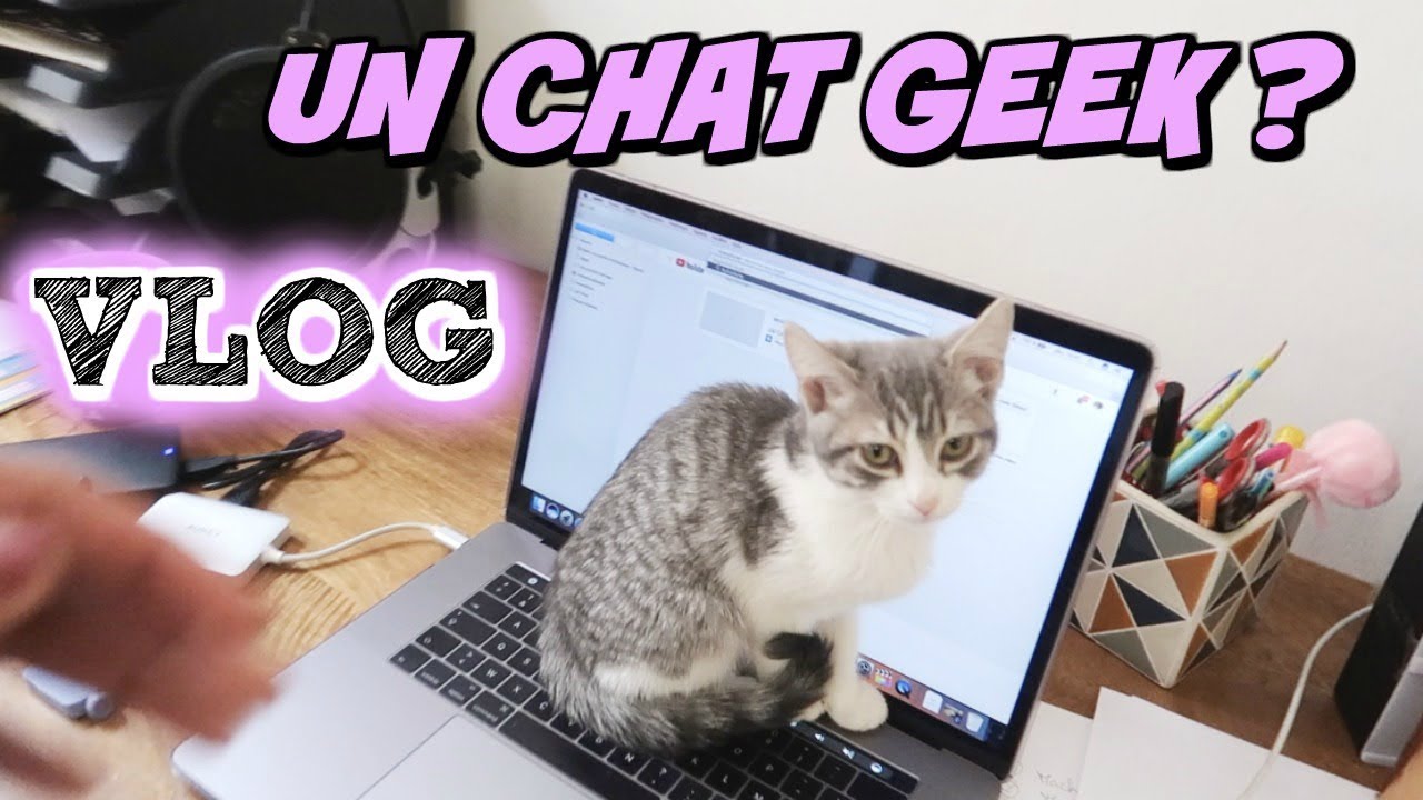 LE CHAT SUR MON MACBOOK ! EST-IL GEEK ? BETISE DE CHAT ! Vlog maman