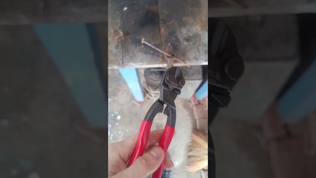 Кусь анархиста ) #action