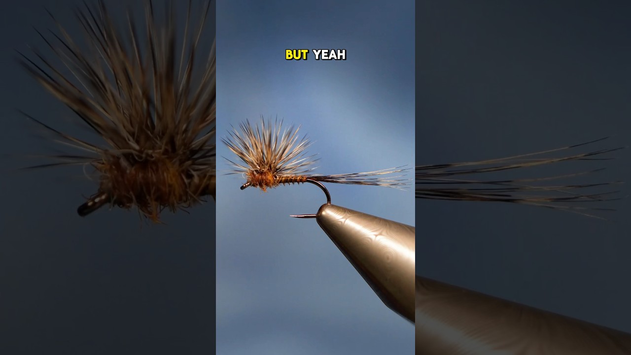 ハックルスタッカーフライ！#whitingfarms #fly #naturesspiritflytying #flytying