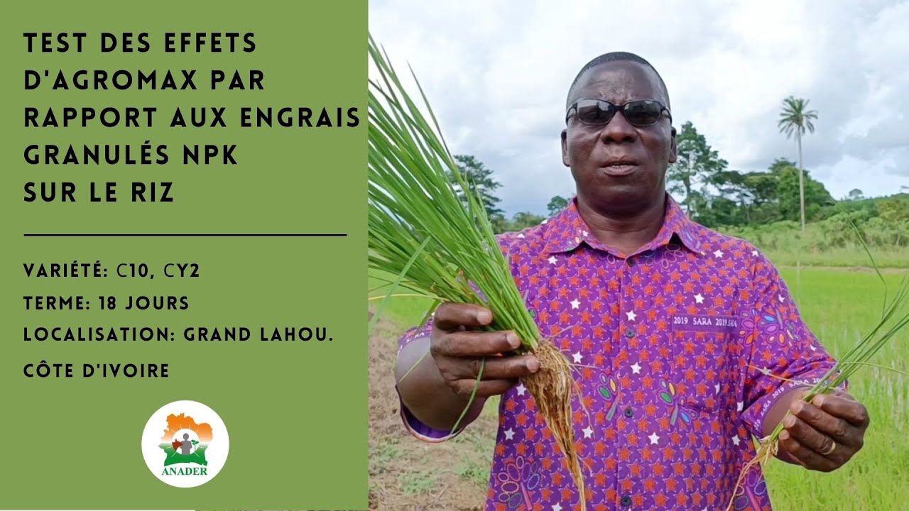 Engrais secs NPK ou engrais complexes liquides Agromax. Essai officiel. Sur deux variétés de riz.