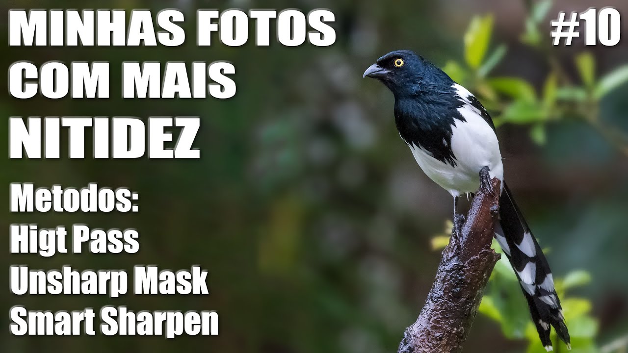 Melhorando a Nitidez das suas fotos