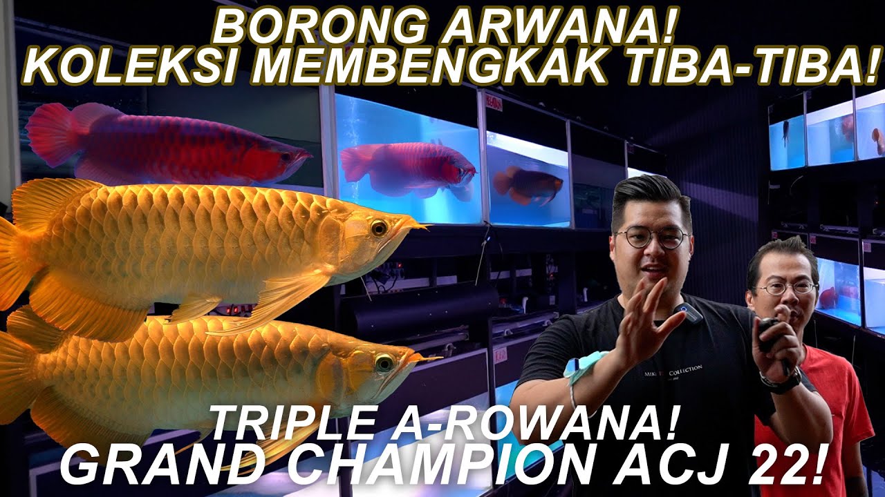 Special Spec! & Tips Slow Tanning dari Pontianak!