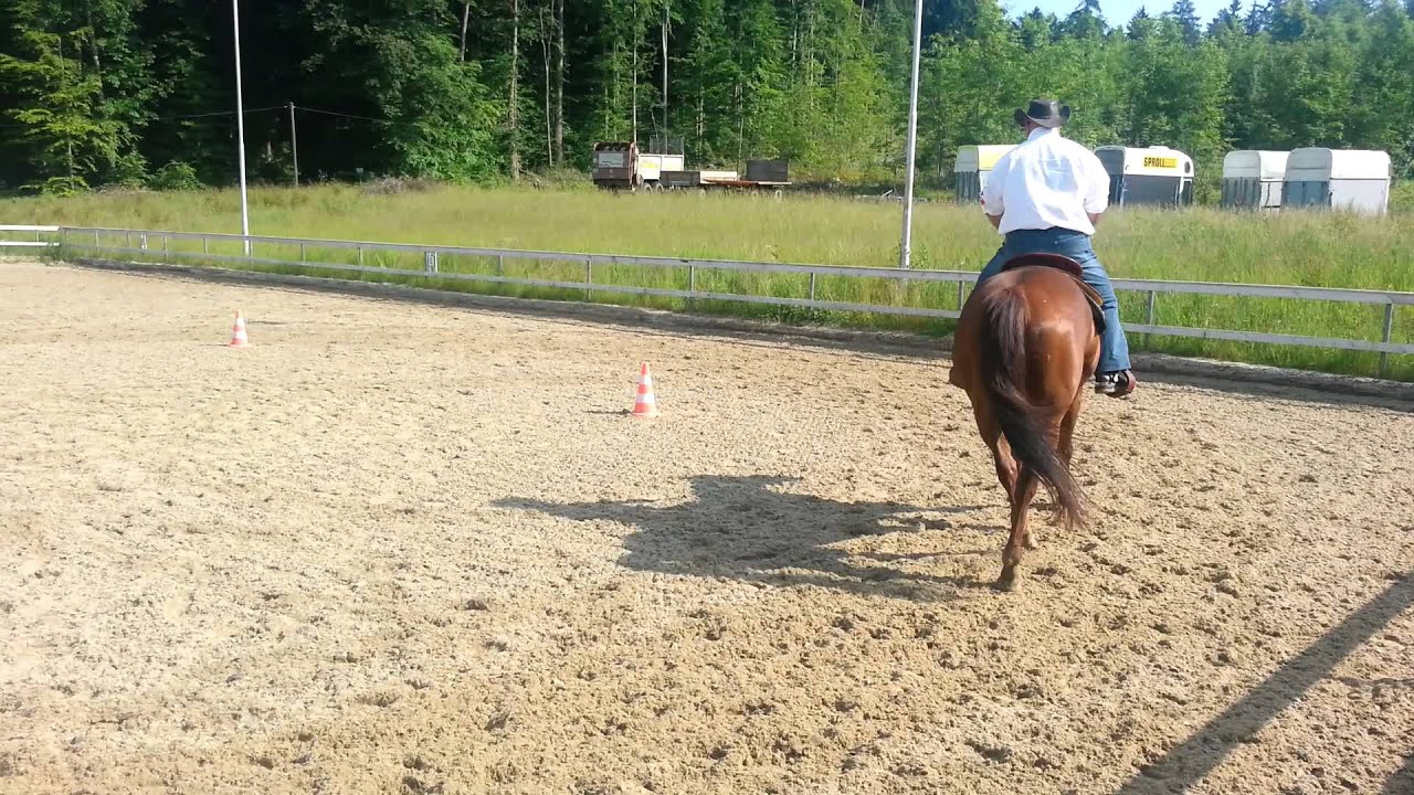 Kurs Ute Holm  Juni 2013 / 1