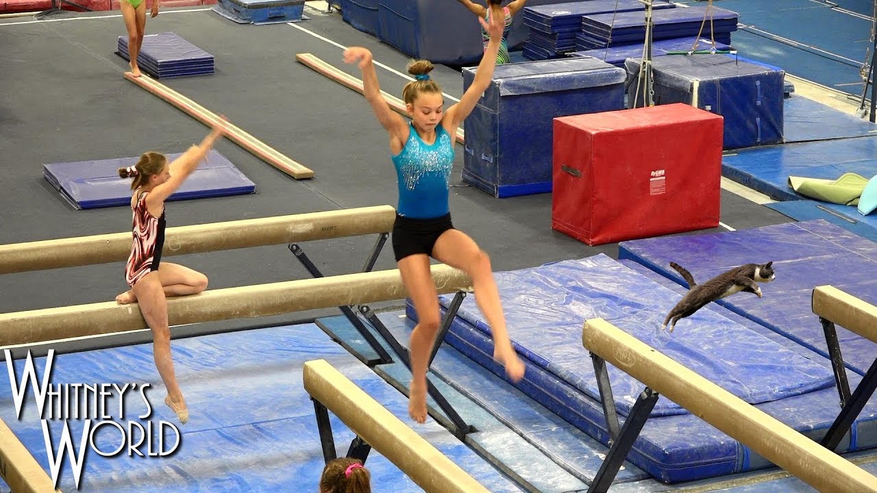 Cat Leap Side Aerial on Beam | Whitney Bjerken Gymnastics
