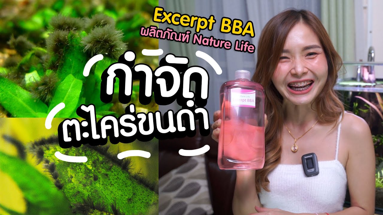 กำจัดตะไคร่ขนดำในตู้ไม้น้ำ ด้วยสิ่งนี้ | MarangMod Channel